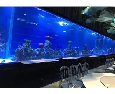 海底造景的维护和清洁需要注意哪些方面？