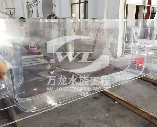 无边际泳池的发展趋势是什么？
