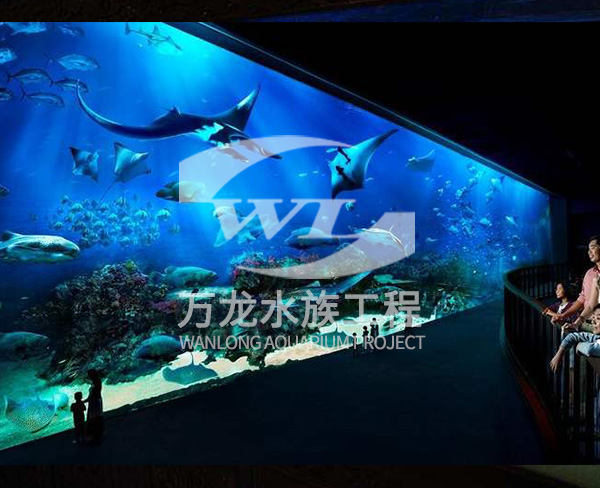 江苏海底景观设计