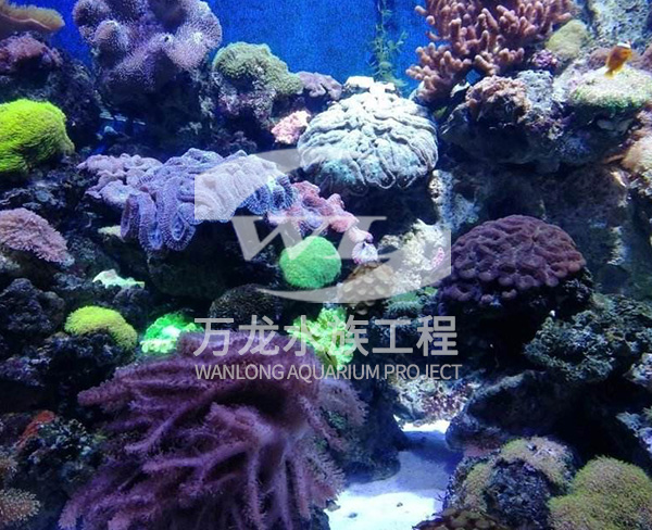 江苏海底景观设计