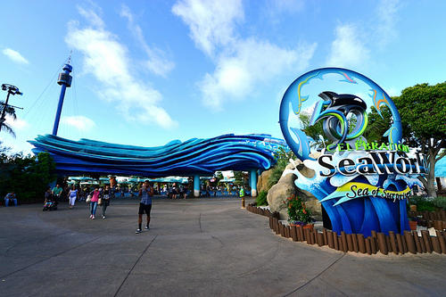 如何辨别大型鱼缸的材质？