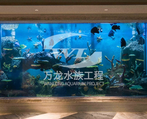江苏诸暨御江湾海底景观设计
