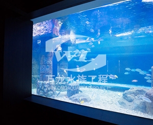 江苏大型亚克力...