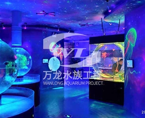 江苏萌宠乐园