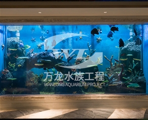 江苏海底景观设计