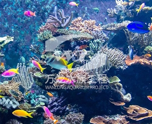 江苏海底景观设计