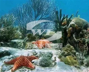 江苏海底景观设计