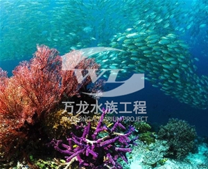 江苏海底景观设计