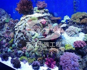 江苏海底景观设计